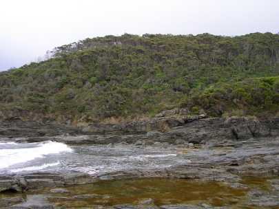 Shelly Beach043